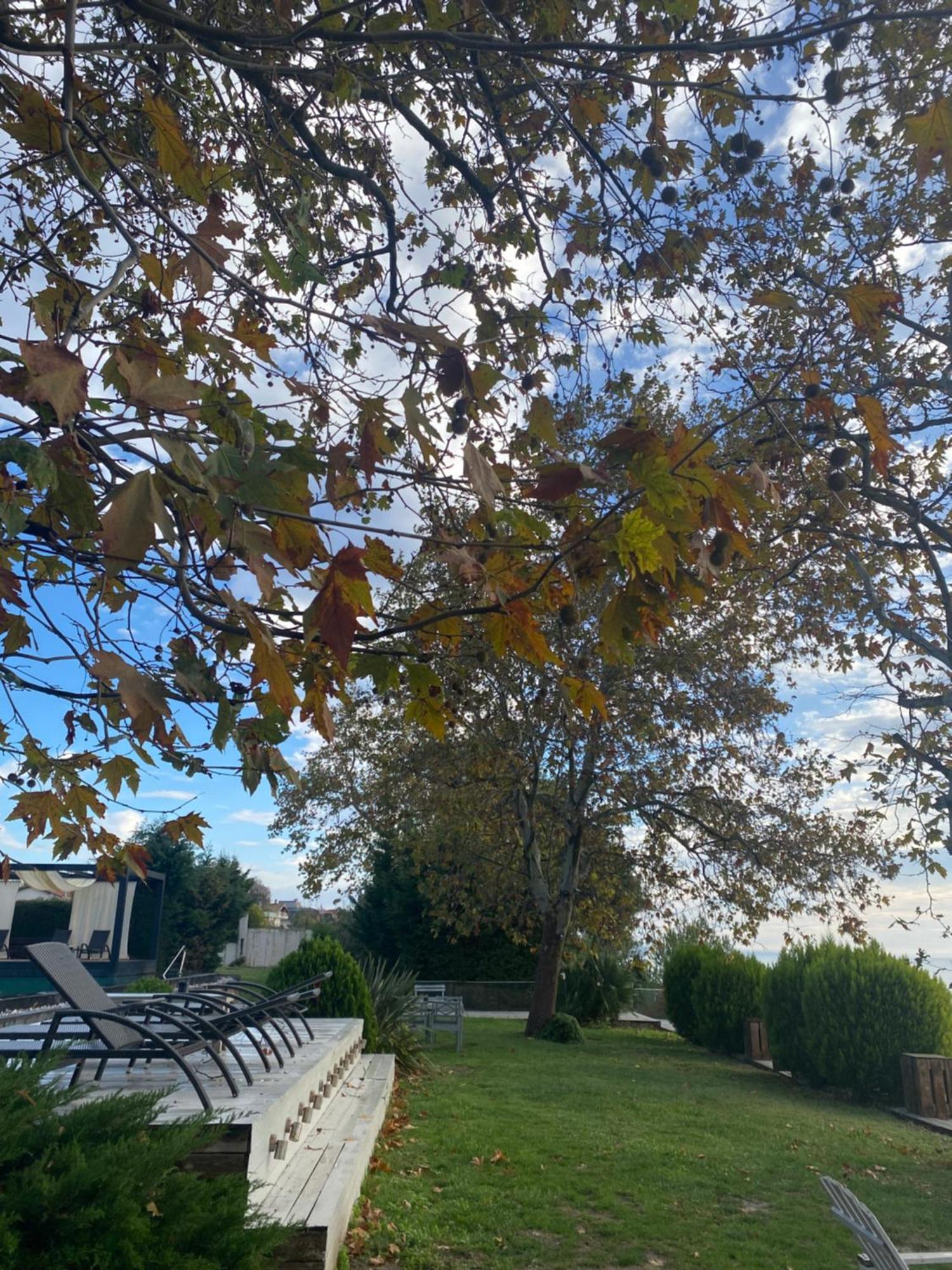 Pia Mare Otel Gunduzlu 外观 照片