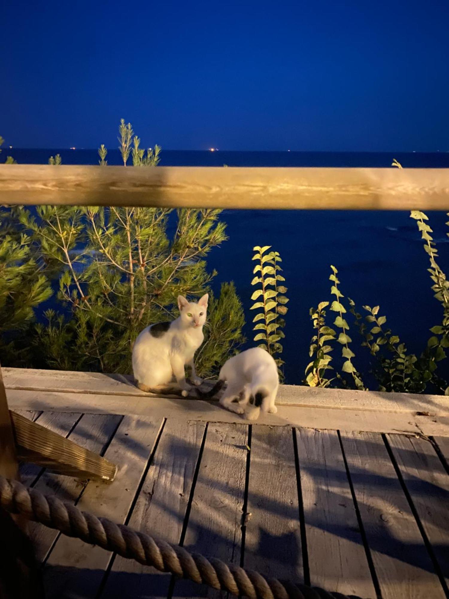 Pia Mare Otel Gunduzlu 外观 照片